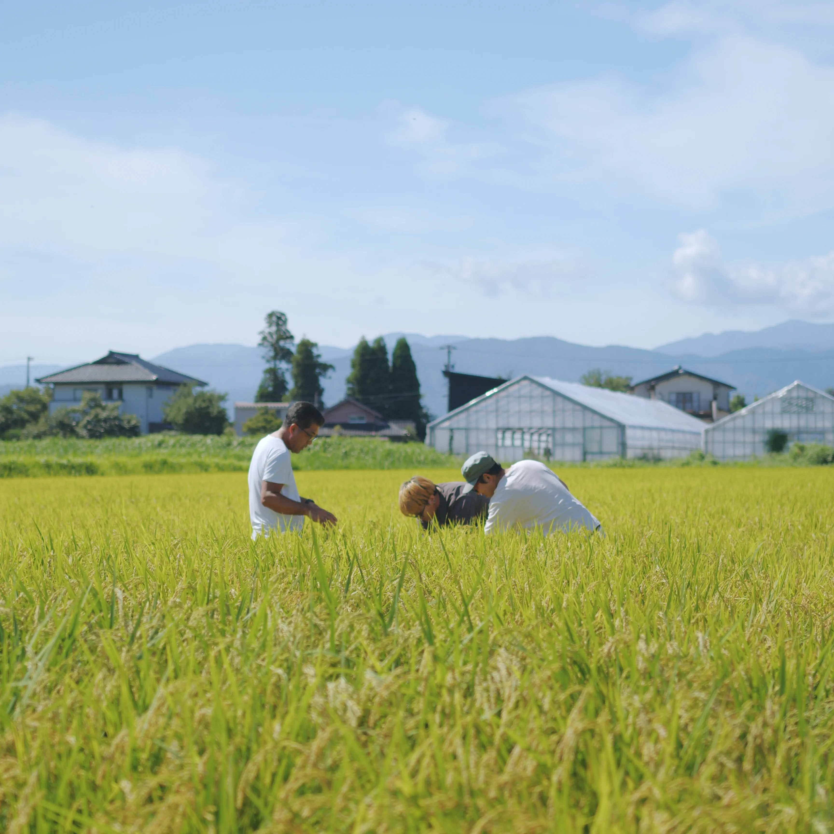 受け継がれた技と実績