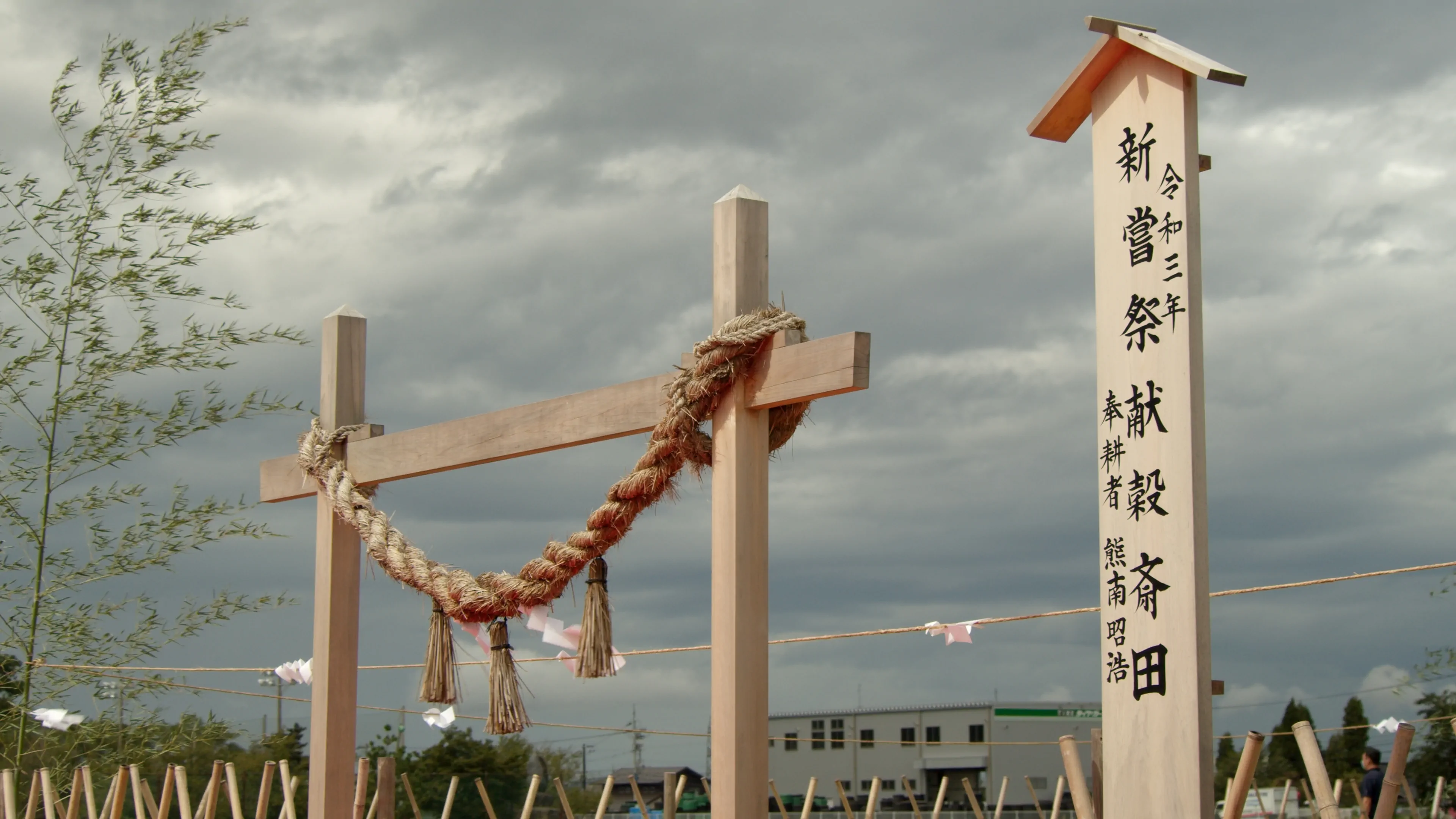 富山の田んぼ